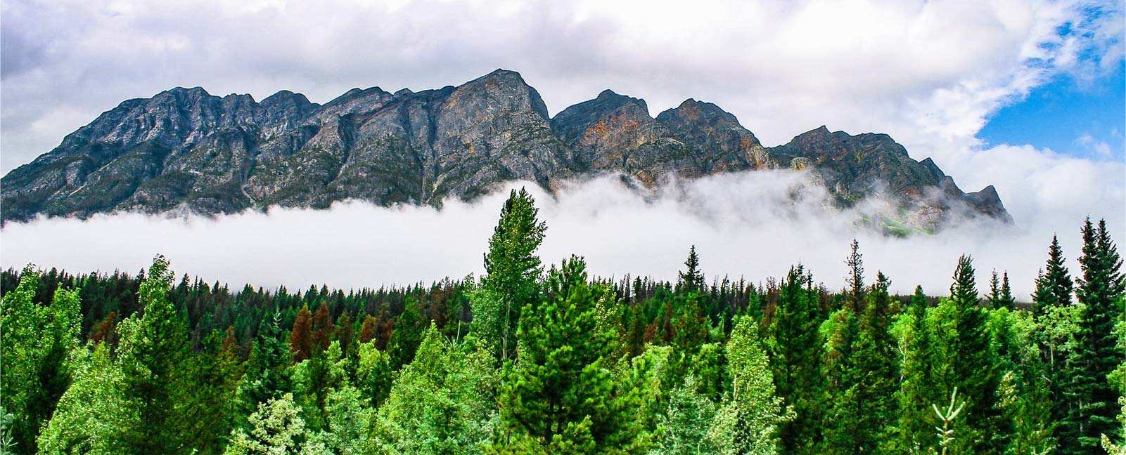 浙江众立合成材料科技股份有限公司